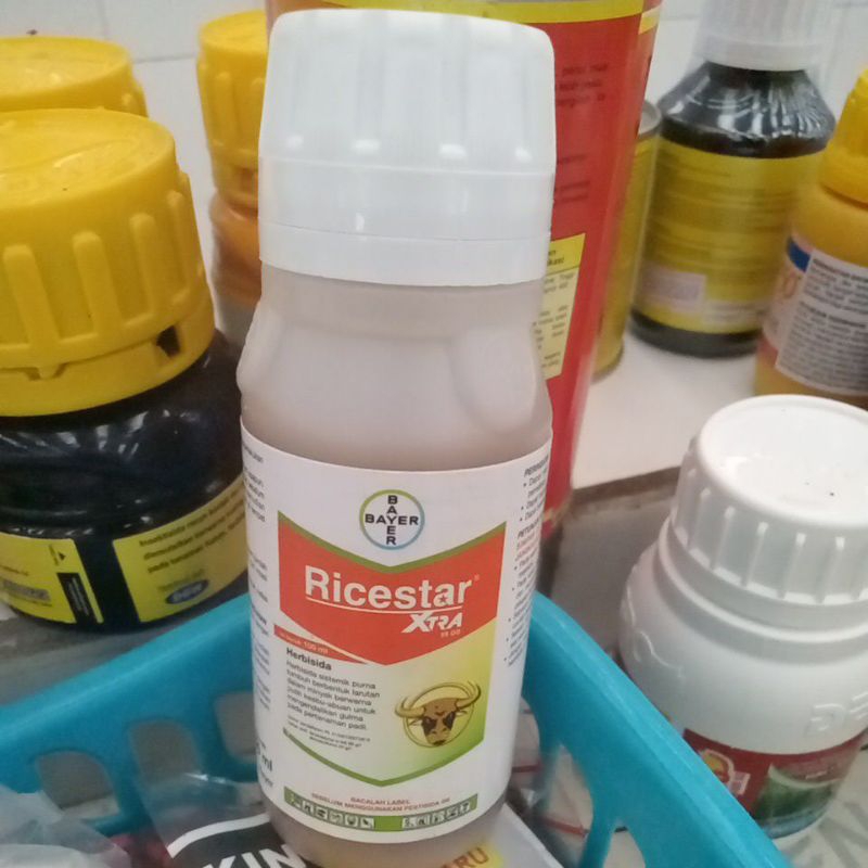 Jual RICESTAR XTRA 89 OD 100 Ml Herbisida Sistemik Purna Tumbuh Kepala