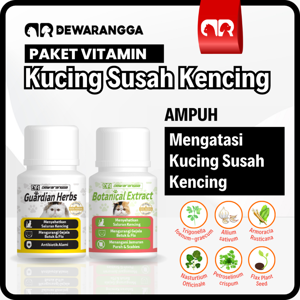 Jual Paket Vitamin Kucing Susah Kencing Dewarangga Obat Kucing Susah