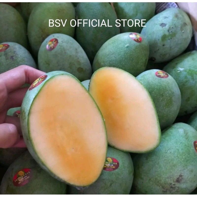 Jual Mangga Manalagi Mangga Madu Kg Shopee Indonesia