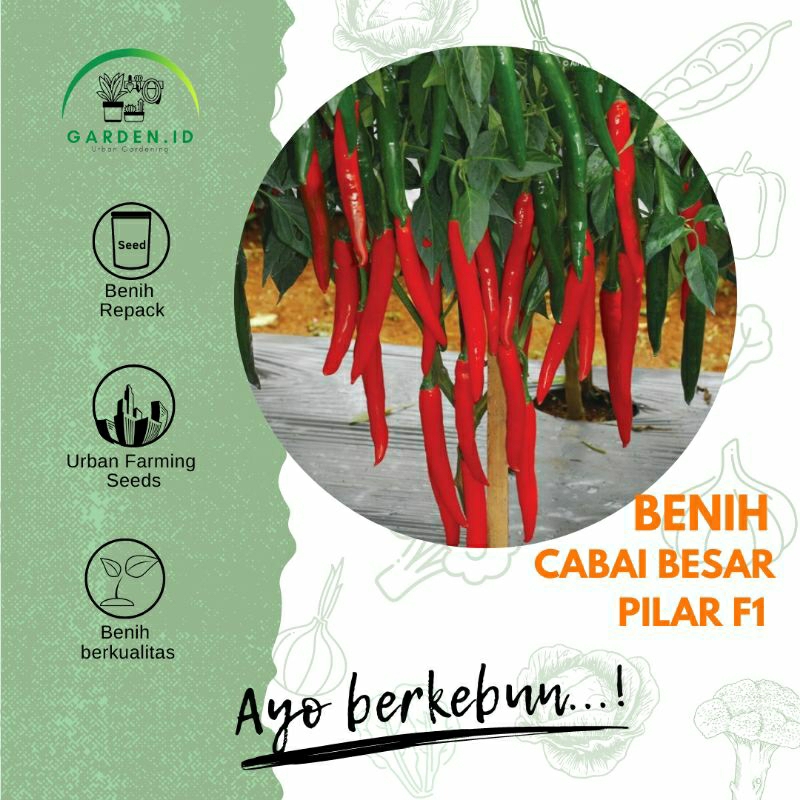 Jual Biji Benih Sayuran Cabai Besar Pilar F Cap Panah Merah