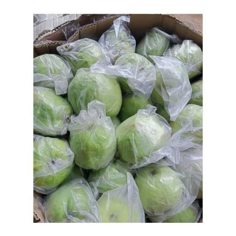 Jual JAMBU KRISTAL 1KG Shopee Indonesia