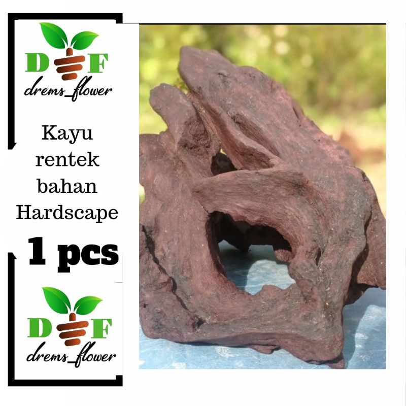 Jual Kayu Rentek Kayu Aquascape Paludarium Terarium Shopee Indonesia