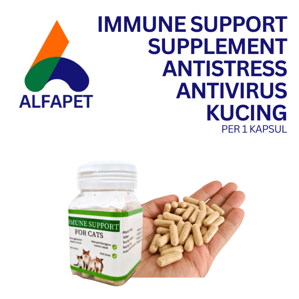 Jual Immune Support Per Kapsul Meningkatkan Imunitas Anti Stress Kucing