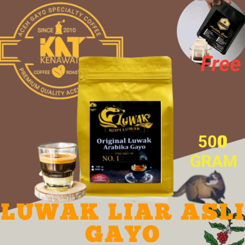 Jual KOPI LUWAK LIAR ASLI ARABICA GAYO ORIGINAL 500gram Shopee Indonesia