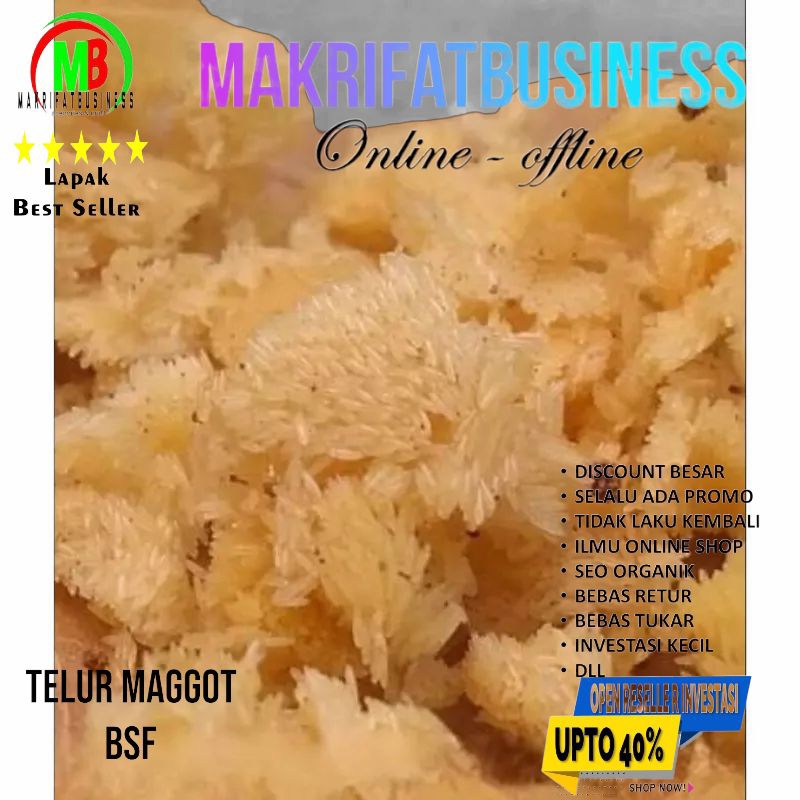 Jual Paket 1 Gram Telor Telur MAGGOT LALAT BSF Kwalitas Terjamin