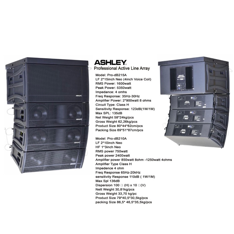 Jual Speaker Line Array Ashley Pro DB210A 10 Inch Flying Sub Pro