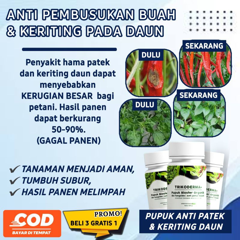 Jual ALFAGREEN Bio Fungisida Tricoderma Plus Pupuk Biosfer Anti Jamur