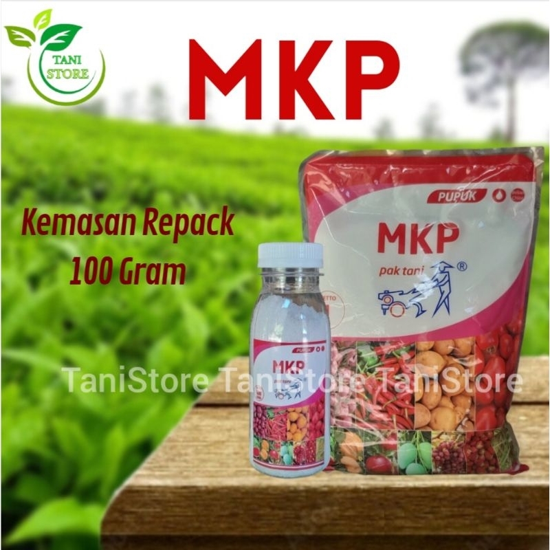 Jual Pupuk Pak Tani Magnesium Sulfate Ultradap Mkp Pupuk Pertumbuhan