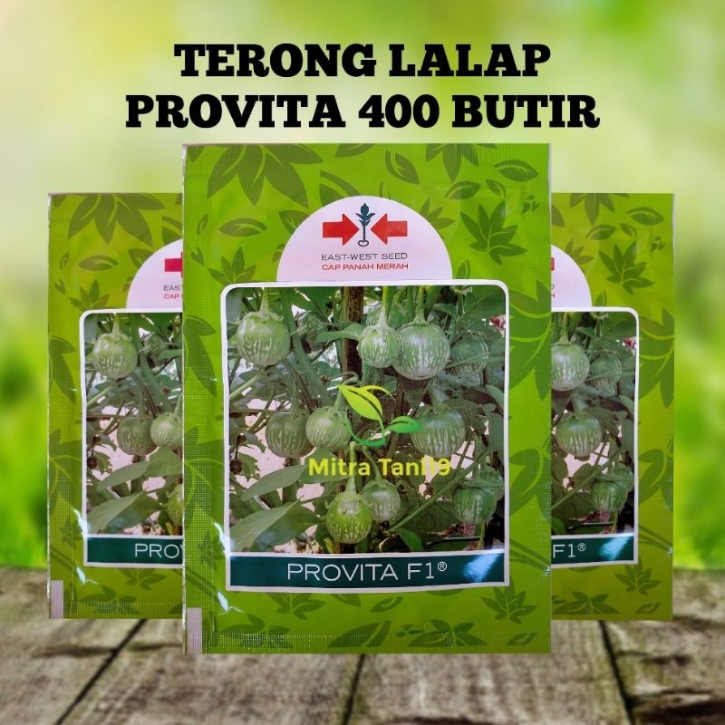 Jual Benih Bibit Sayur Sayuran Hidroponik Terong Lalap Hijau Provita