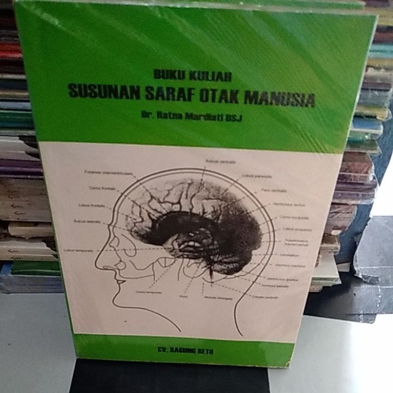 Jual Buku Kulia Susunan Saraf Otak Shopee Indonesia