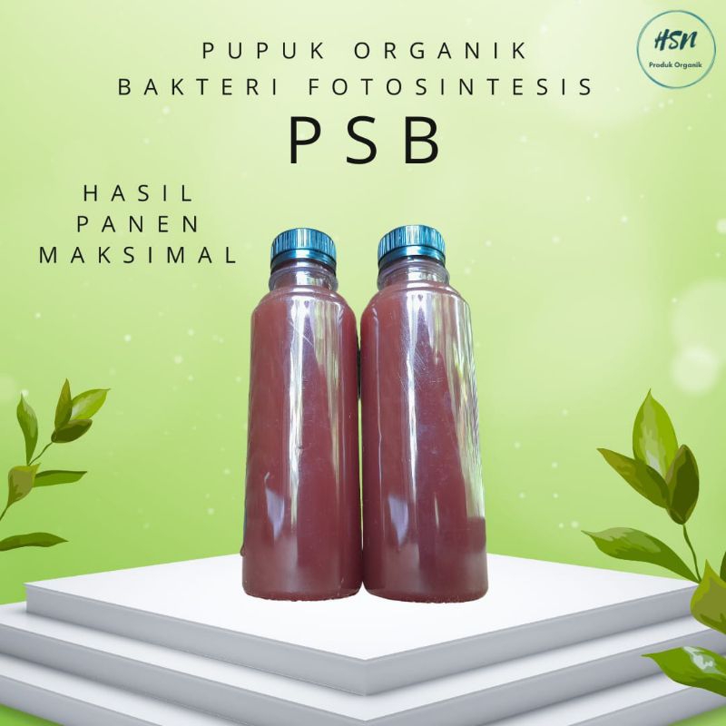 Jual PSB Bakteri Fotosintesis PSB Super Jakaba 500 Ml Shopee Indonesia