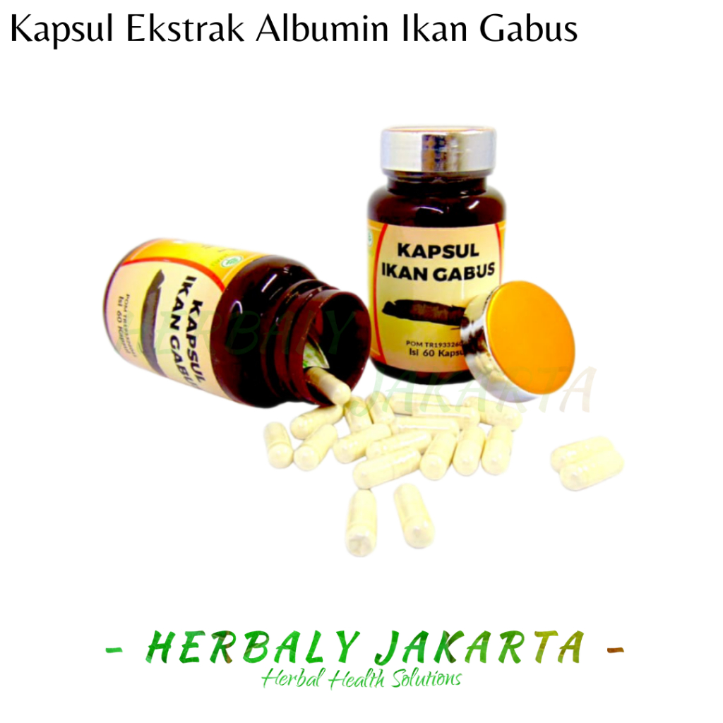 Jual Kapsul Albumin Ekstrak Ikan Gabus Kutuk Protein Original Isi