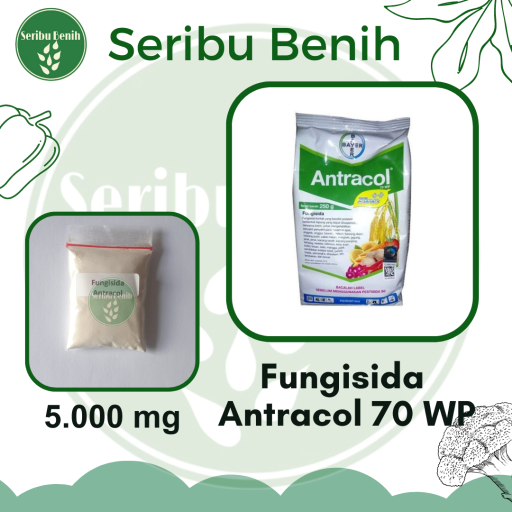 Jual Fungisida Antracol 70 WP Zinc Pembasmi Infeksi Tanaman Jamur