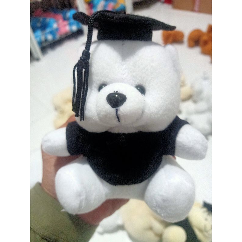 Jual Bear Mini Wisuda Toga Boneka Wisuda Cm Shopee Indonesia