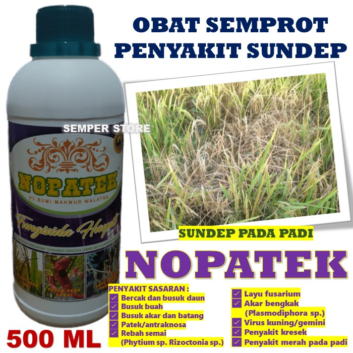 Jual Obat Semprot Penyakit Sundep Pada Tanaman Padi Paling Manjur