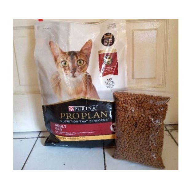 Jual Pro Plan Adult 500Gr Cat Food Makanan Kucing Dewasa Gemuk Proplan