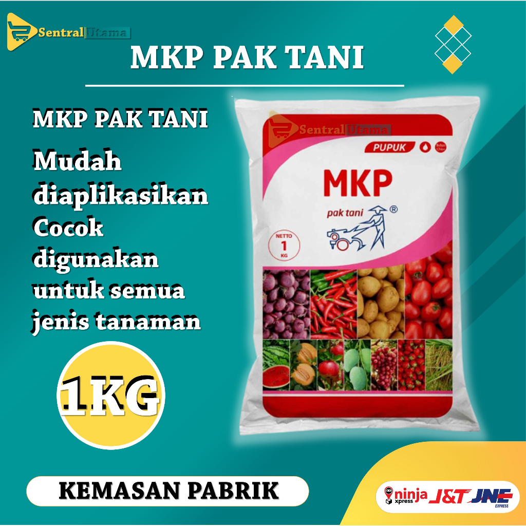 Jual Mkp Pak Tani Pupuk Penyubur Tanaman Daun Pangan Mono Potassium