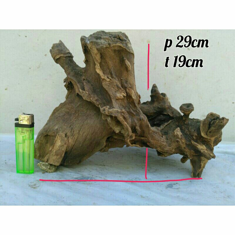 Jual KAYU RENTEK MINI BELUM TENGGELAM Barang Sesuai Yang Di Pesan