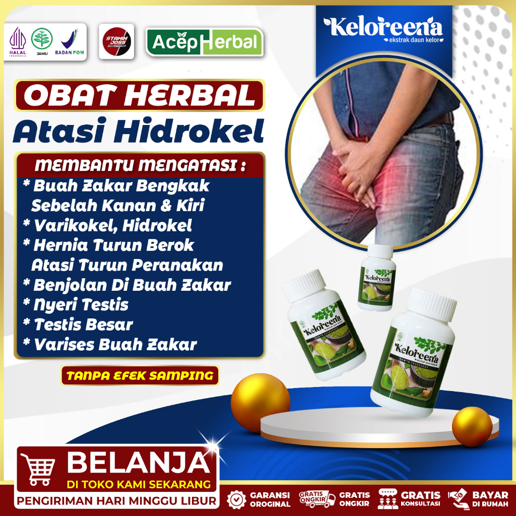 Jual Obat Hidrokel Testis Besar Sebelah Buah Zakar Bengkak Varikokel