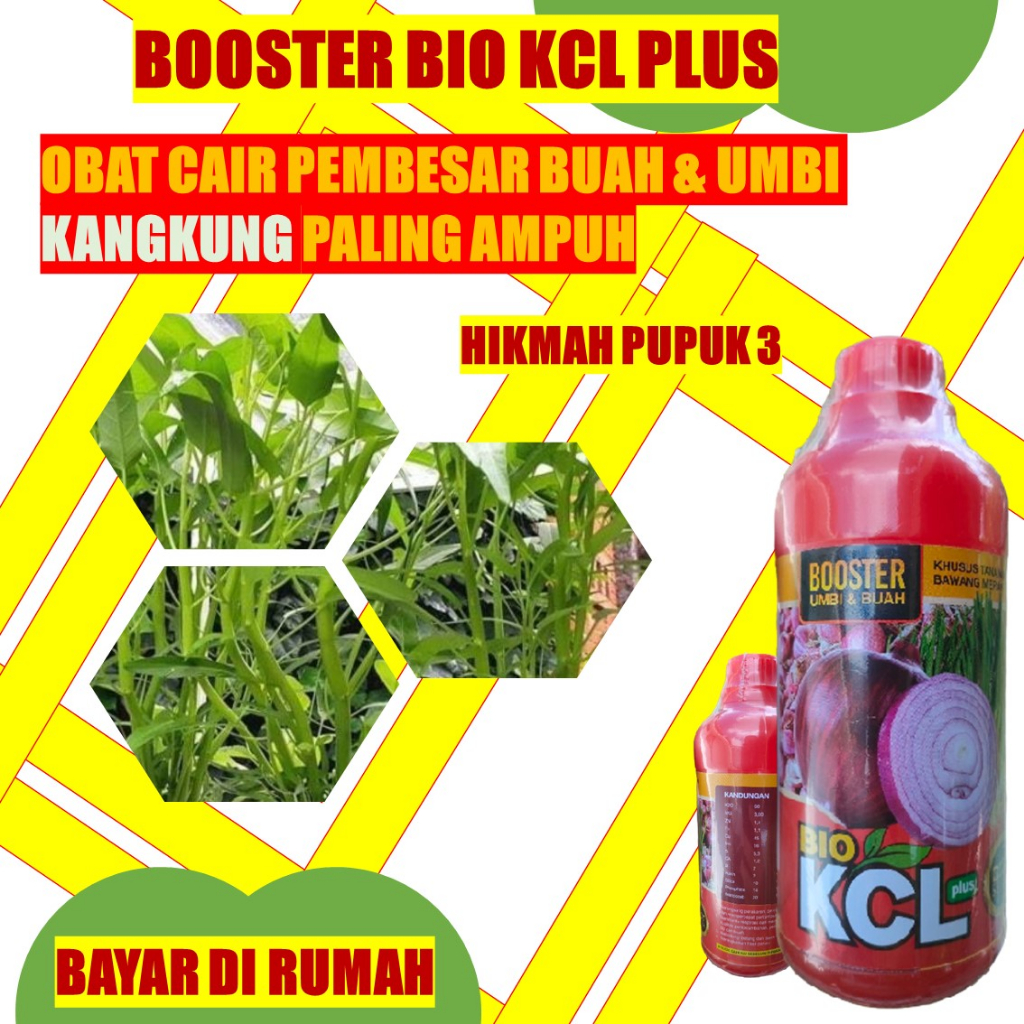 Jual Promo Booster Pembesar Buah Kangkung Paling Ampuh Bio Kcl