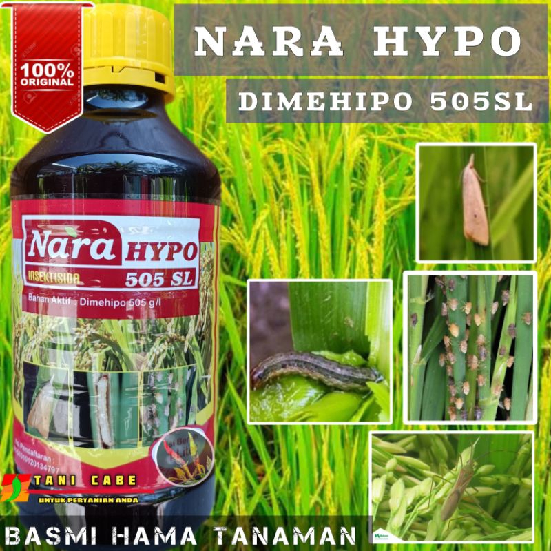 Jual Insektisida Nara Hypo Dimehipo Sl Basmi Hama Wereng Dan