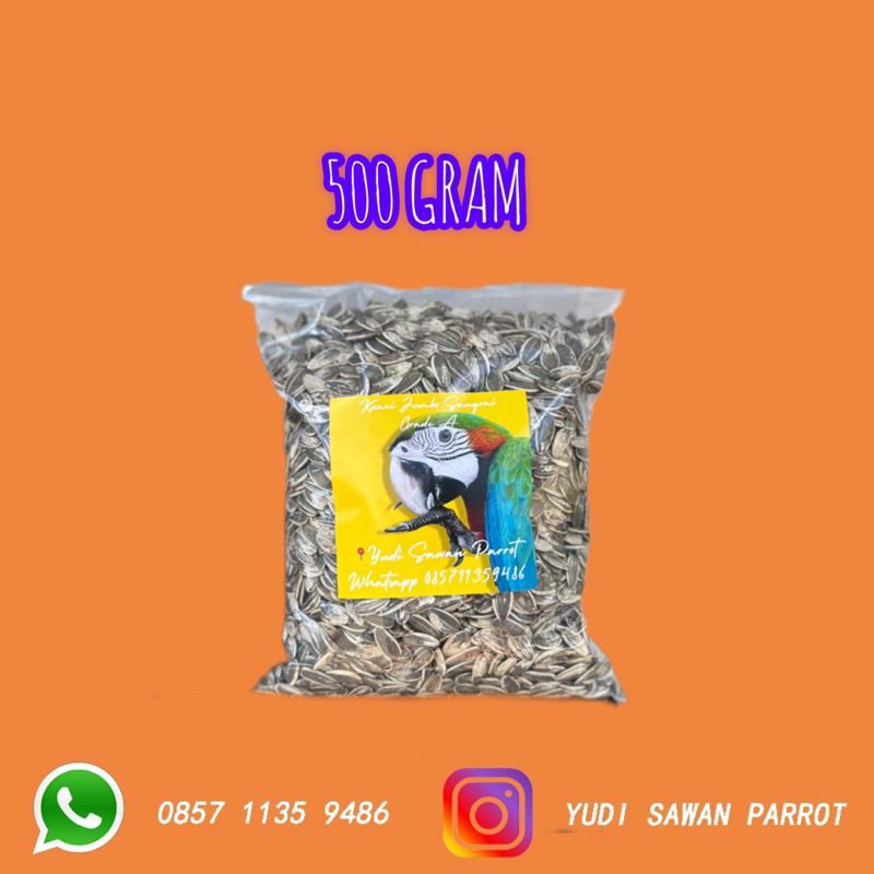 Jual Kuaci Jumbo Gr Makanan Burung Macaw Kakatua African Grey