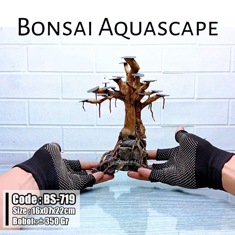 Jual Bonsai Aquascape Akar Senggani Hiasan Aquarium Shopee