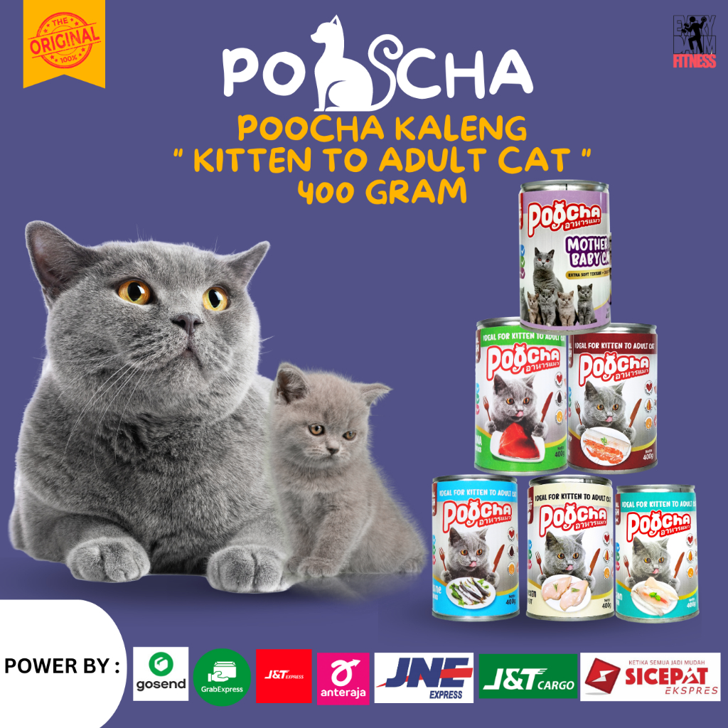 Jual Makanan Kucing Basah Poocha Kaleng Gr Gr Gram Shopee