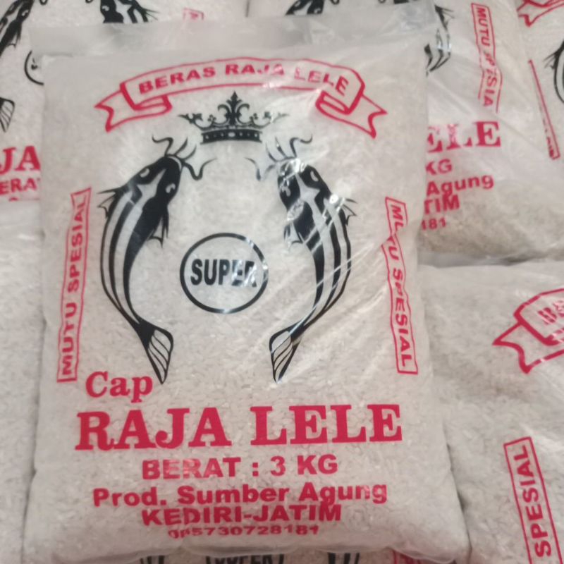 Jual Raja Lele Asli Kediri Shopee Indonesia