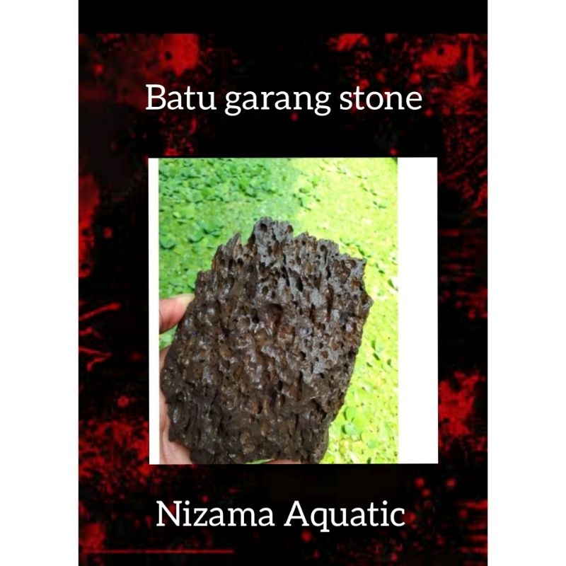 Jual Batu Garang Stone Kg Batu Garang Batu Karang Batu Eragon Batu