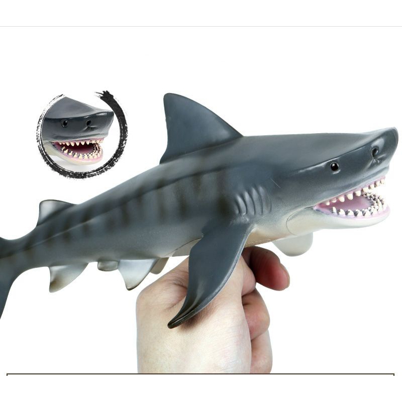 Jual Megalodon Hiu Harimau Macan Berongga Hewan Laut Shark Shopee