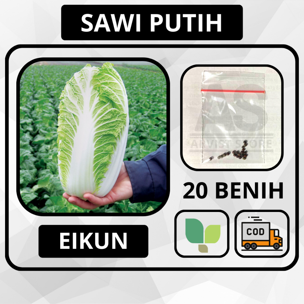 Jual Butir Benih Sawi Putih Eikun Hibrida Takii Seed Bibit Tanaman