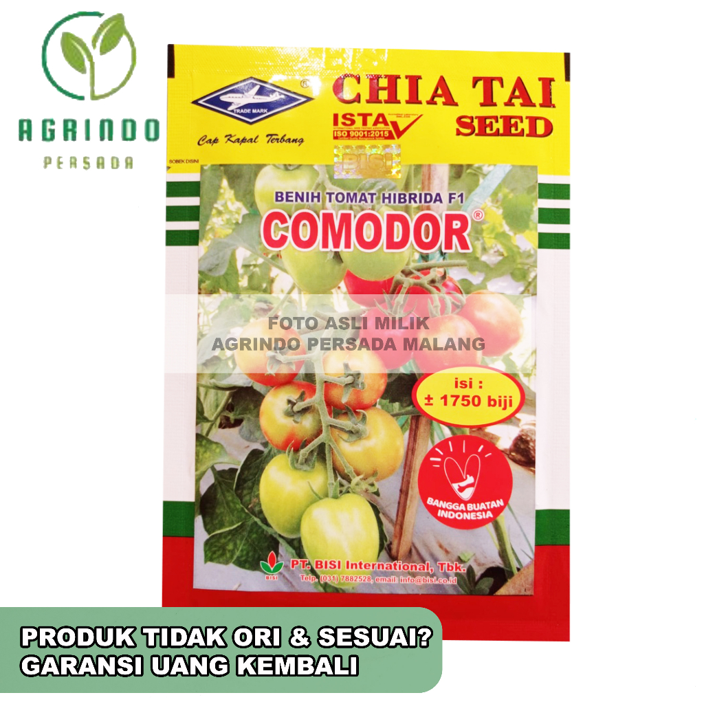 Jual Benih Tomat Comodor Gram Benih Tomat Comodor Cap Kapal Terbang