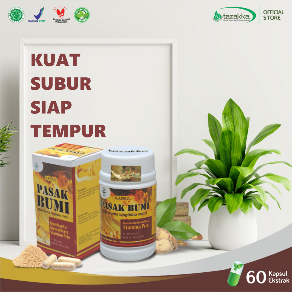 Jual Kapsul Pasak Bumi Original Herbal Tazakka Isi 60 Kapsul Shopee