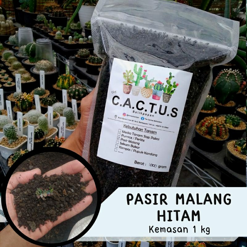 Jual Pasir Malang Hitam Media Tanam Kaktus Sukulen Kemasan 1 Kg