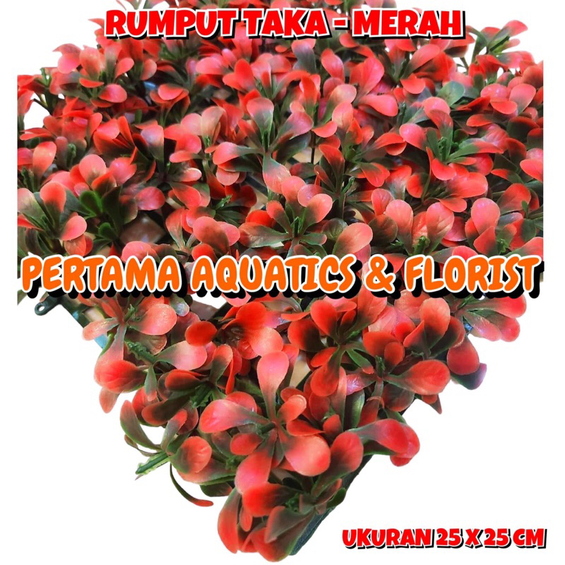 Jual RUMPUT LENIA TAKA 25 X 25 Cm Rumput Plastik Rumput Dasar Rumput