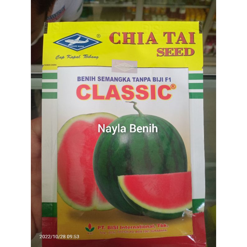 Jual Benih Semangka Non Biji Classic Shopee Indonesia