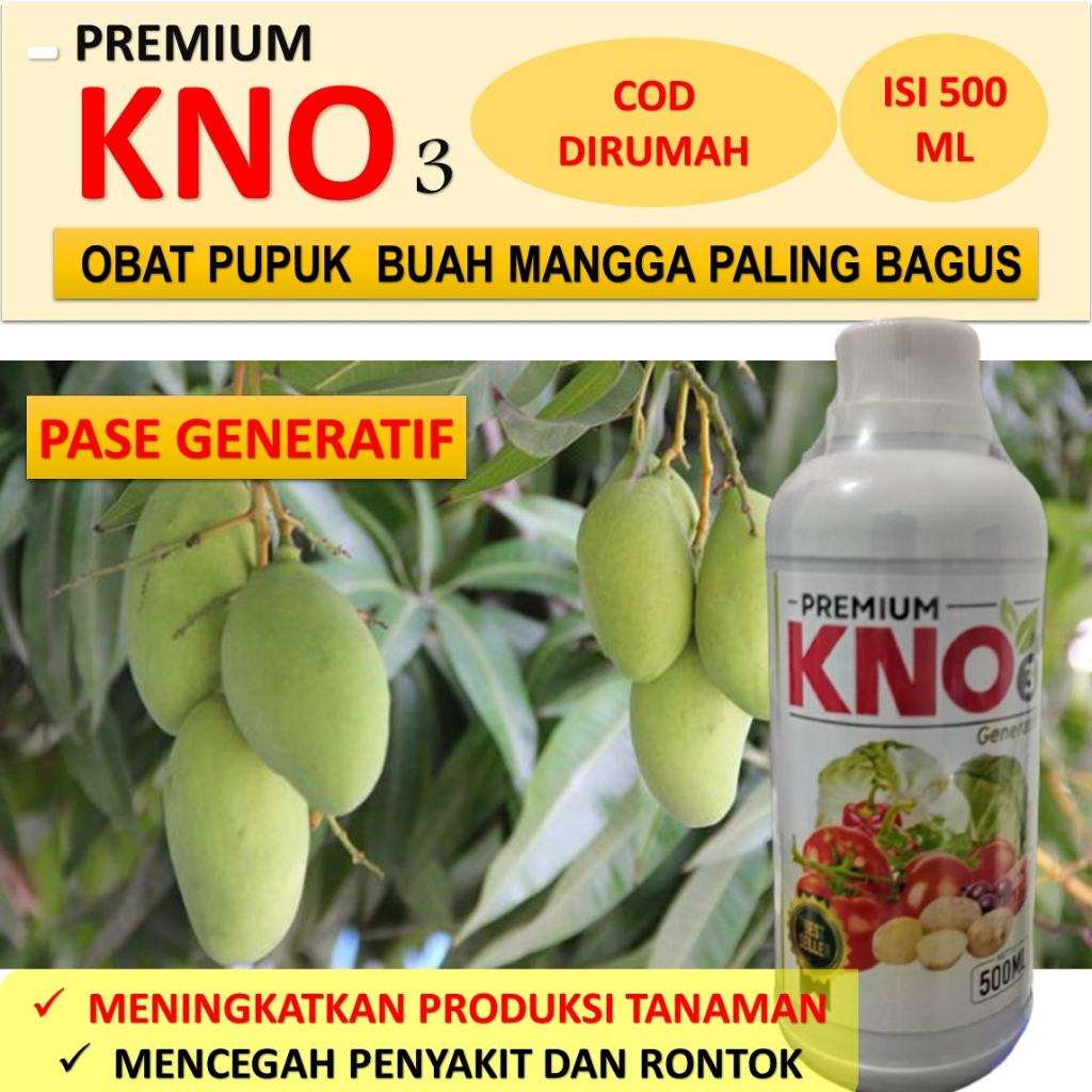 Jual PREMIUM KNO3 Obat Pelebat Bunga Dan Buah Tanaman Mangga Pupuk