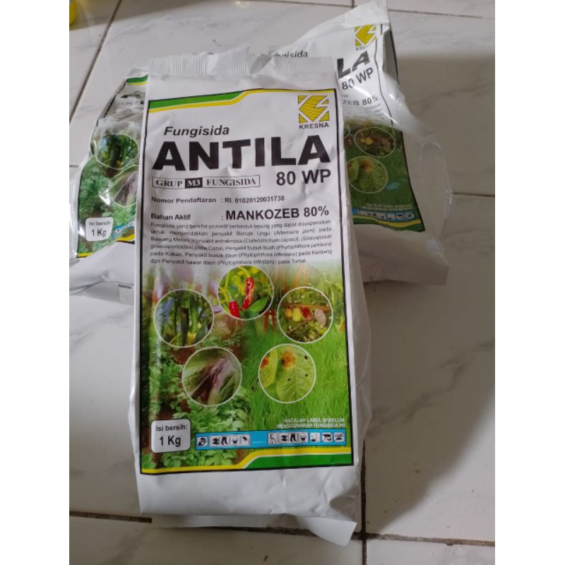 Jual Fungisida Antila Wp Kg Shopee Indonesia