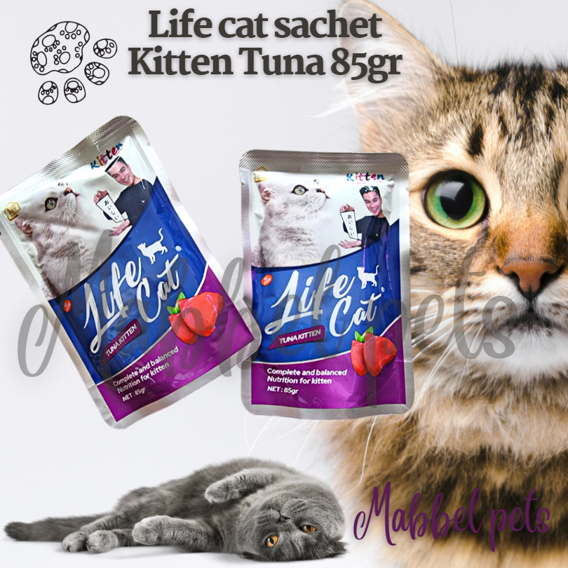 Jual Makanan Kucing Basah Life Cat Pouch Kitten Tuna Gr Wetfood