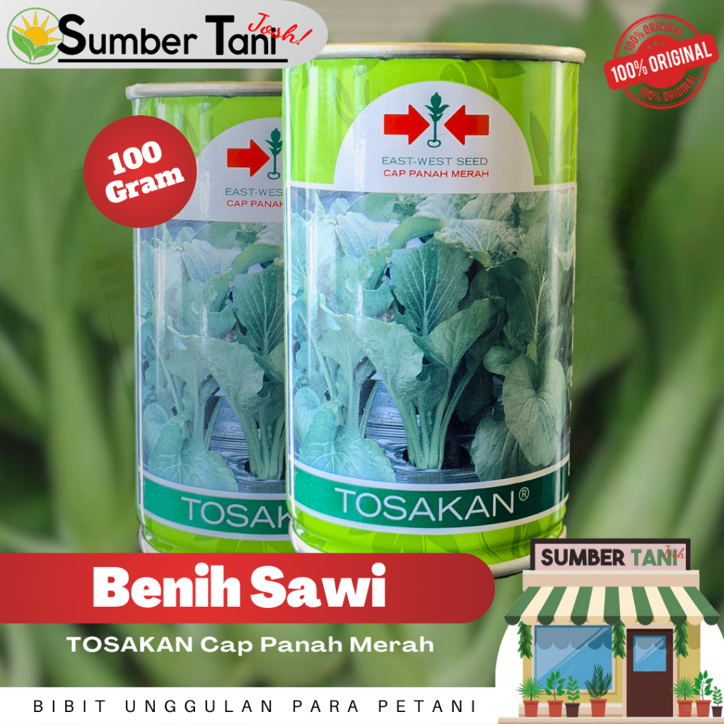 Jual Benih Sawi Hijau Caisim TOSAKAN 100 Gram Kemasan Kaleng Cap Panah