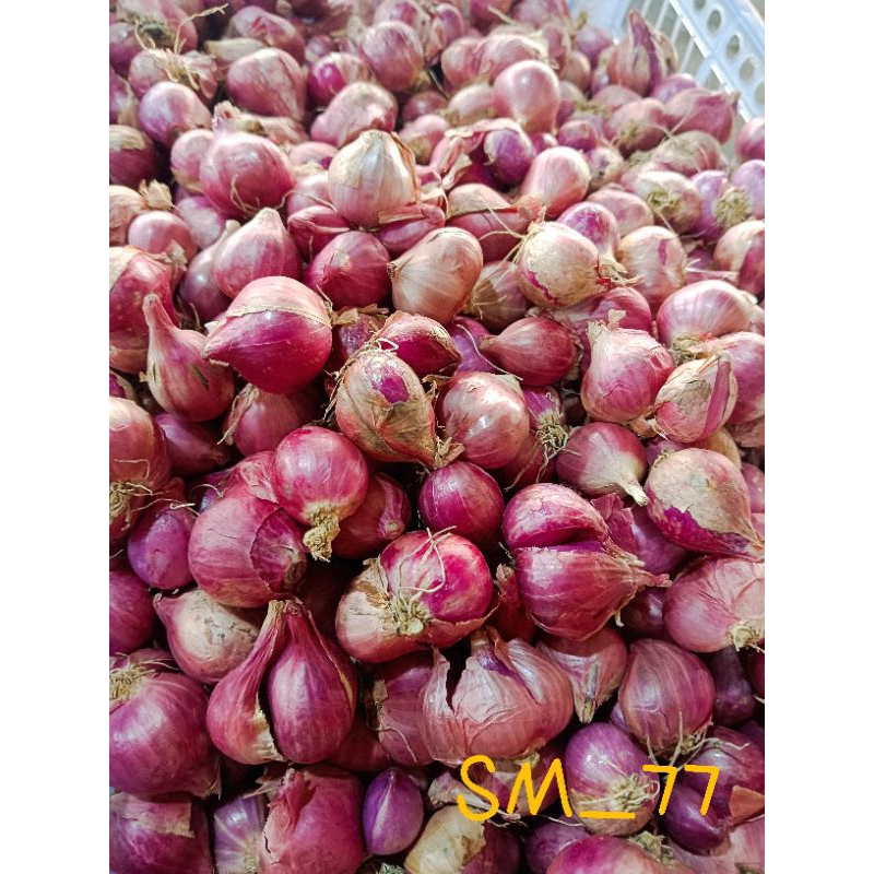 Jual Bawang Merah Besar Gram Bawang Merah Campur Bawang Merah