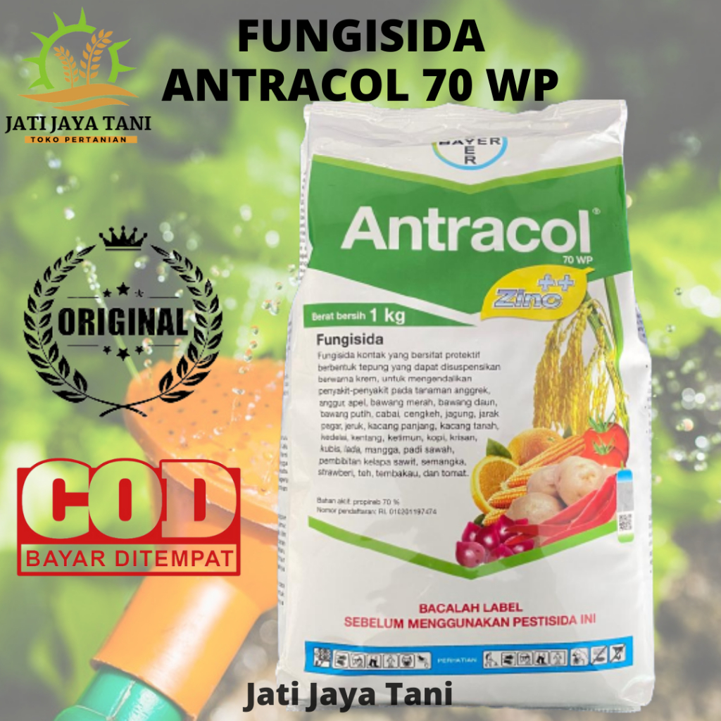 Jual Fungisida Antracol 70 WP 1 Kg Pungisida Antrakol Original Kemasan