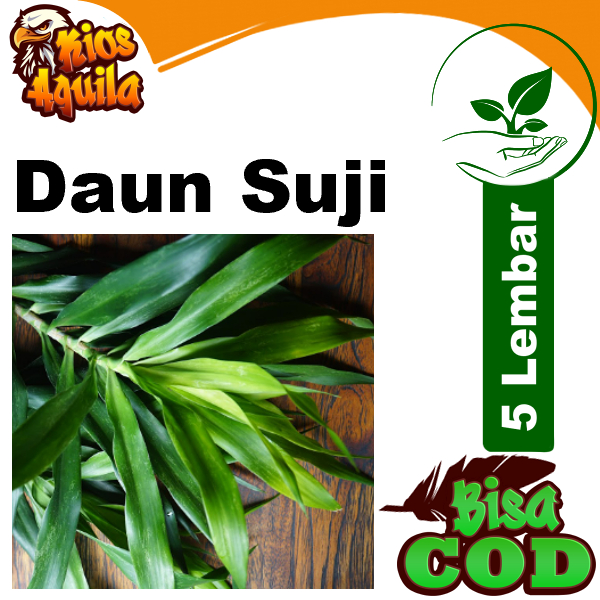 Jual Daun Suji Segar 5 Lembar Pewarna Makanan Alami Shopee Indonesia