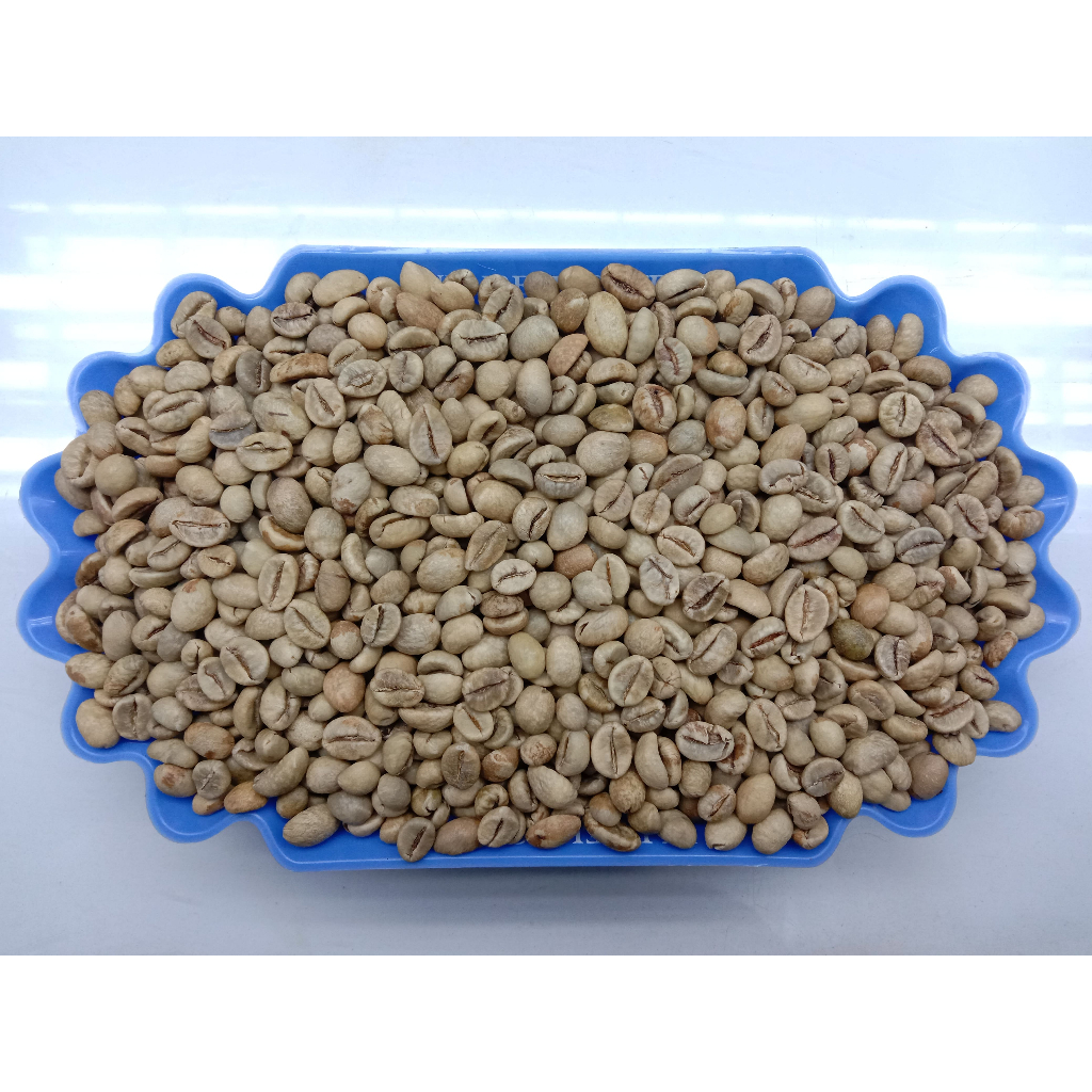 Jual AP1 GRADE 1 ROBUSTA GREEN BEAN BIJI KOPI MENTAH ROBUSTA LAMPUNG