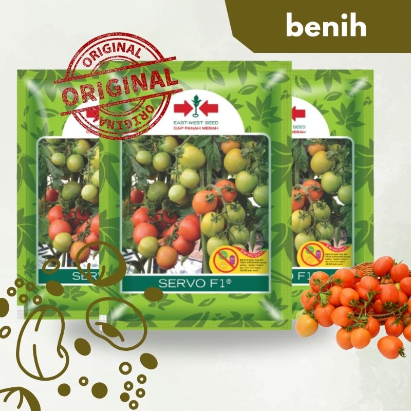 Jual Benih Biji Unggul Tomat Servo F Buah Kecil Panah Merah