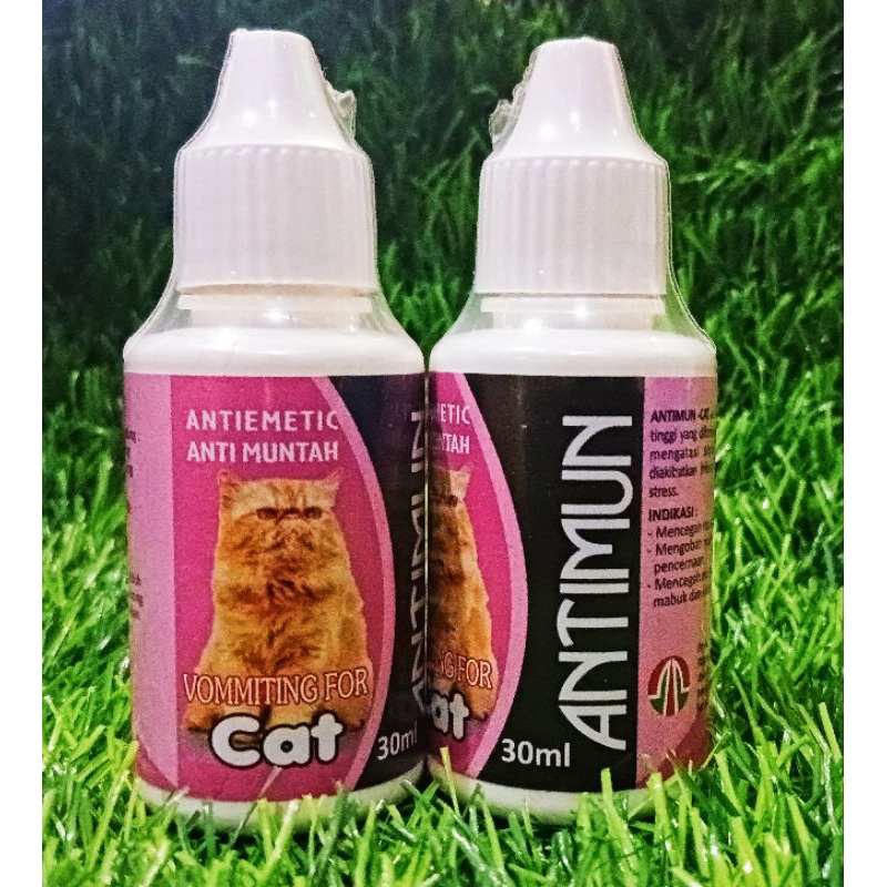 Jual Antimun Obat Anti Muntah Pada Kucing Mengatasi Muntah Akut Yang