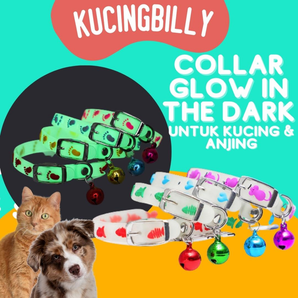 Jual KALUNG GLOW IN DARK Kucing Anjing Aksesoris Shopee Indonesia