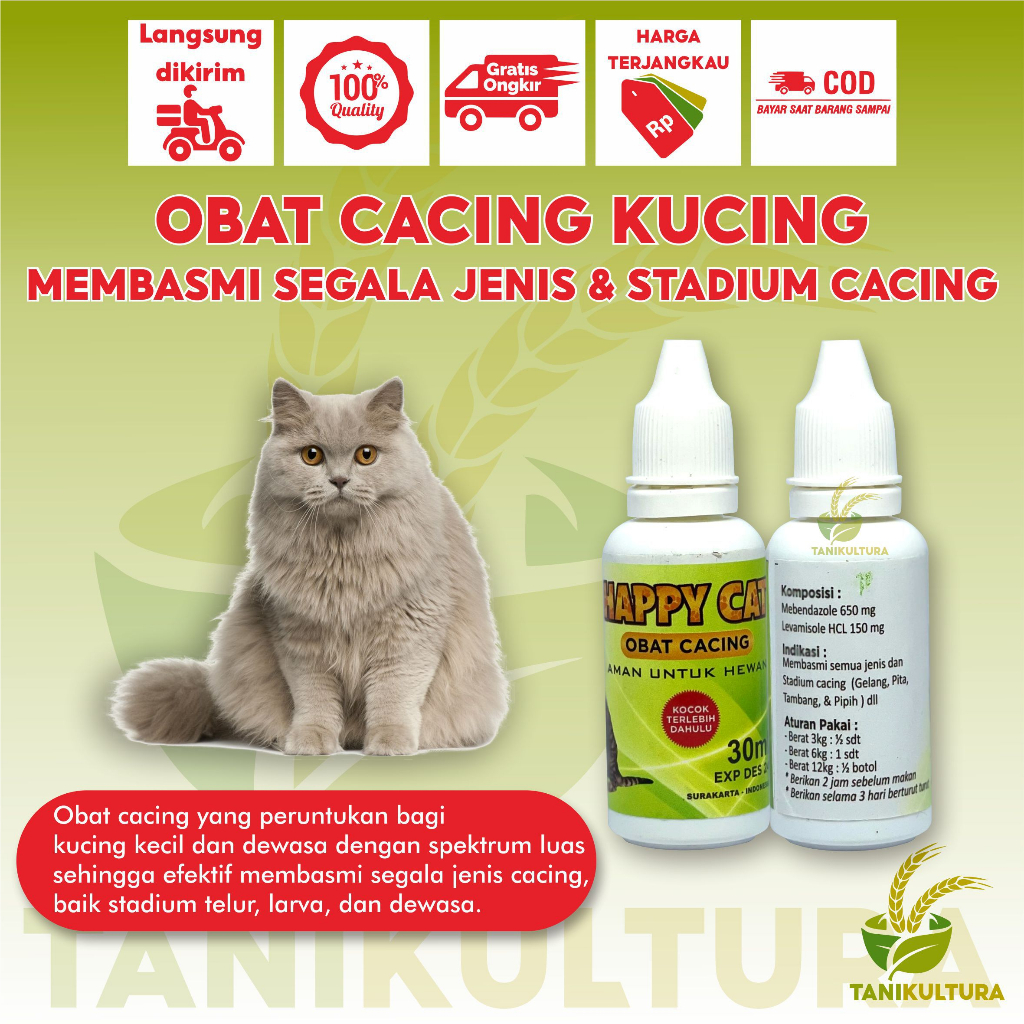 Jual Obat Infeksi Cacing Kucing Kitten Ampuh Basmi Dan Mencegah Kucing