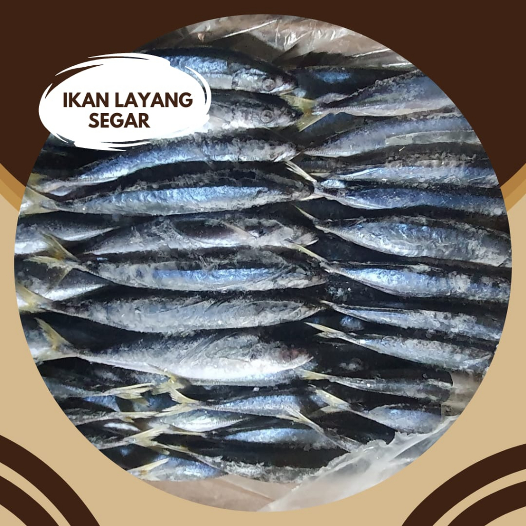 Jual IKAN LAYANG SEGAR IKAN LAYANG FRES LAYANG BEKU Shopee Indonesia